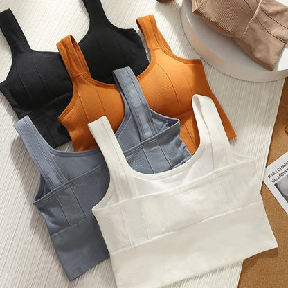 Naadloze sport bh voor dames – Motion Core